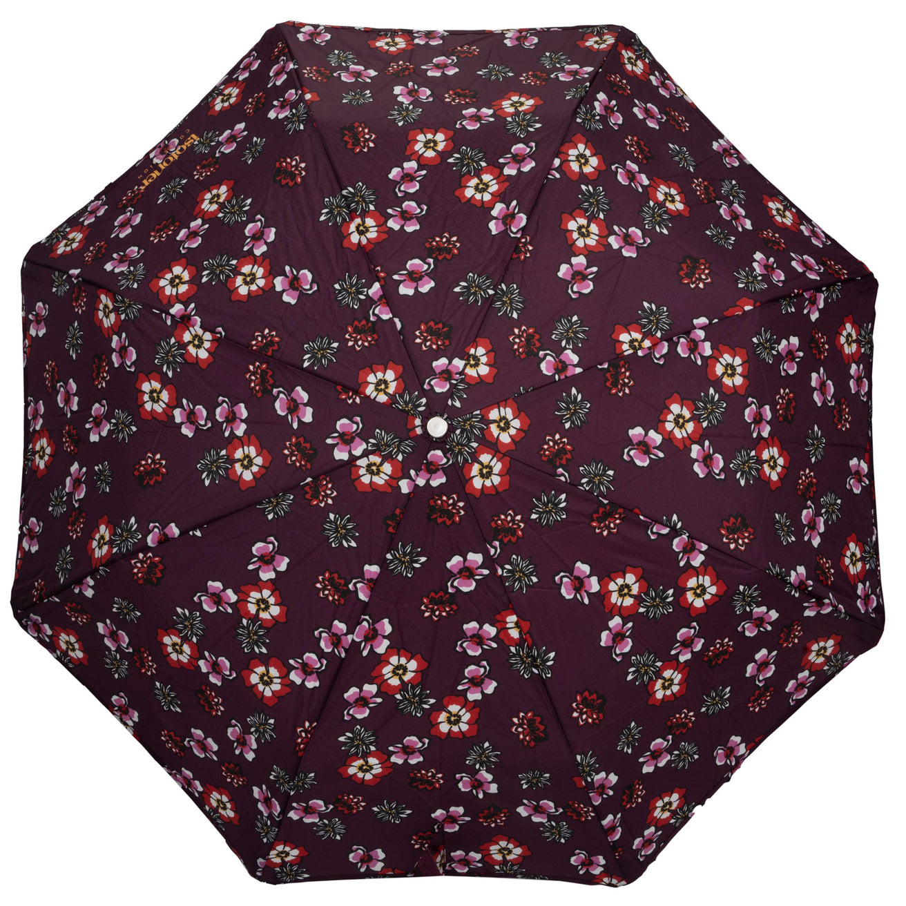 Parapluie X-TRA SOLIDE ALPHA Fleurs Pensées